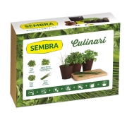 SEMBRA 9095 - Πακέτο Καλλιέργειας Culinari