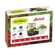 SEMBRA 9096 - Πακέτο Καλλιέργειας Salad